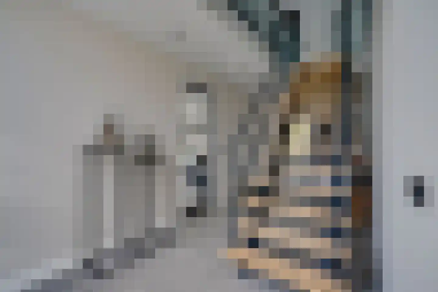Lunterse Beekweg 42 Scherpenzeel thumbnail 21