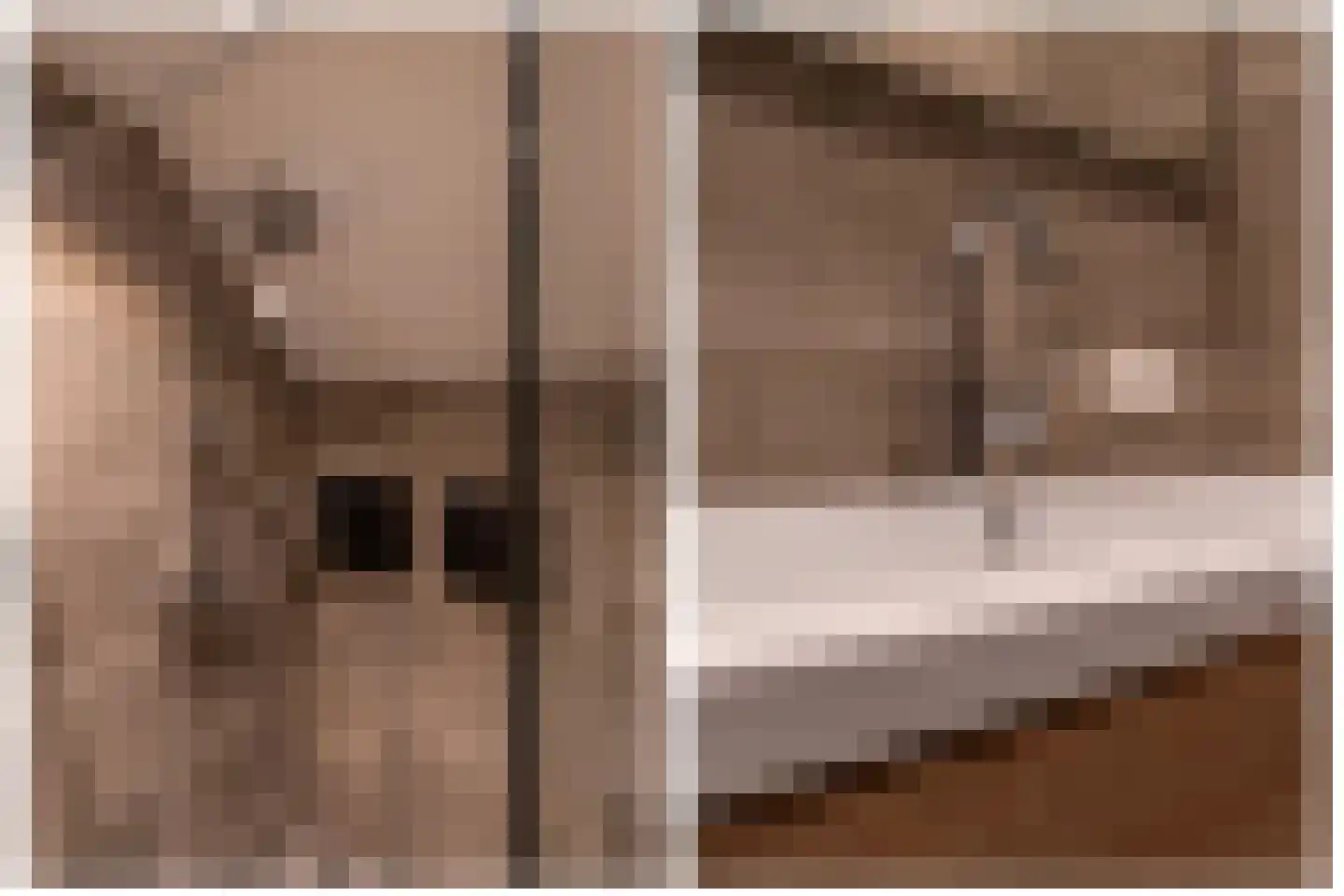Lunterse Beekweg 42 Scherpenzeel thumbnail 29