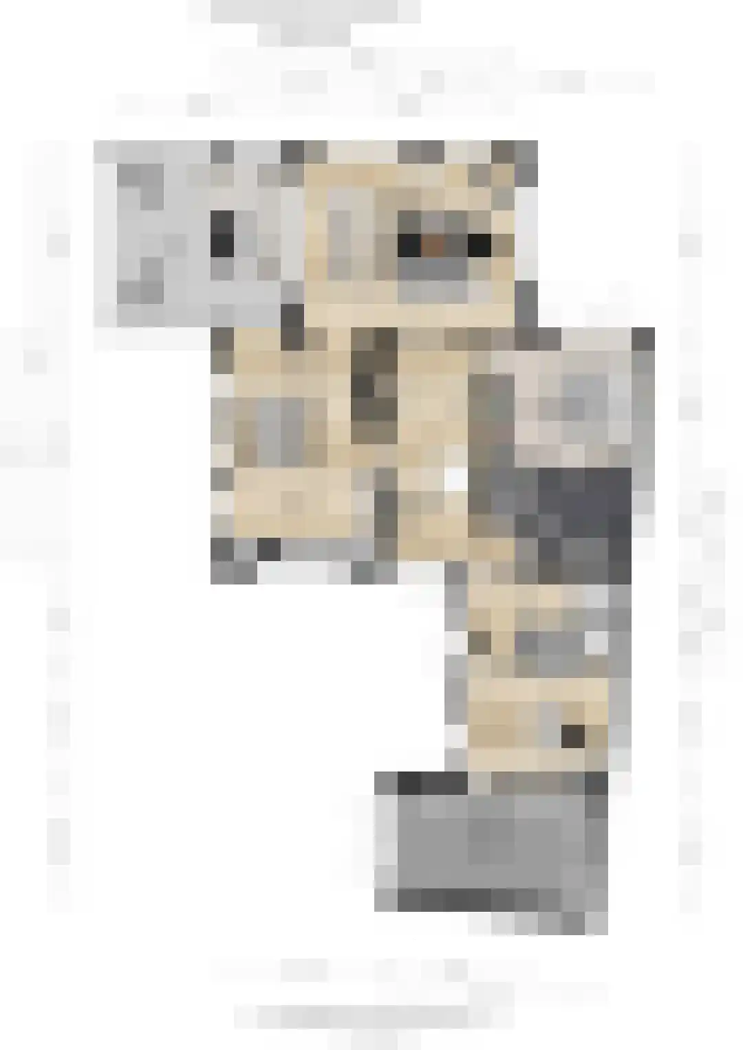 Lunterse Beekweg 42 Scherpenzeel thumbnail 34