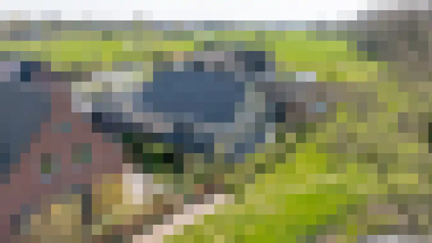 Lunterse Beekweg 42 Scherpenzeel thumbnail 8