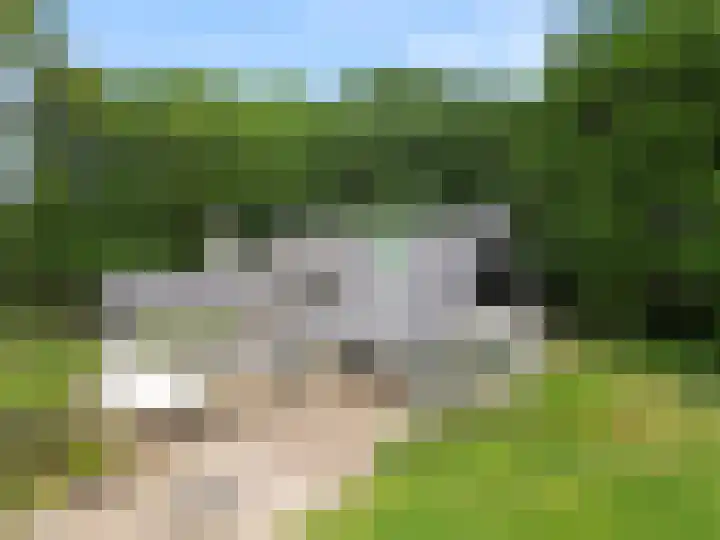 Lunterse Bosweg 6 Lunteren thumbnail 11