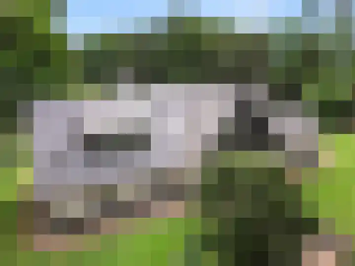 Lunterse Bosweg 6 Lunteren thumbnail 12