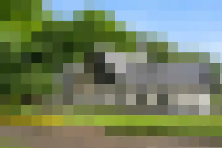 Lunterse Bosweg 6 Lunteren thumbnail 13