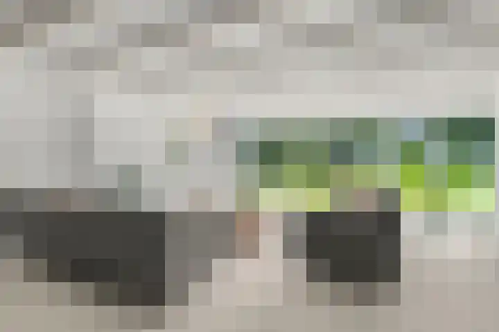 Lunterse Bosweg 6 Lunteren thumbnail 22