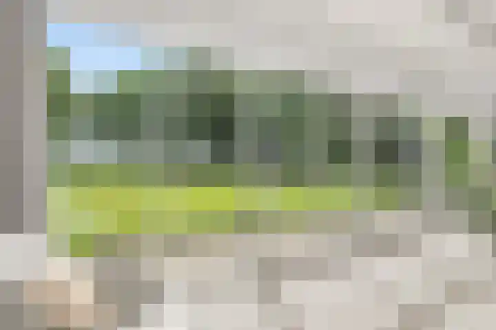 Lunterse Bosweg 6 Lunteren thumbnail 24