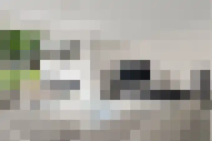 Lunterse Bosweg 6 Lunteren thumbnail 26