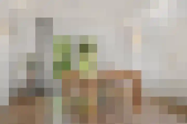 Lunterse Bosweg 6 Lunteren thumbnail 31
