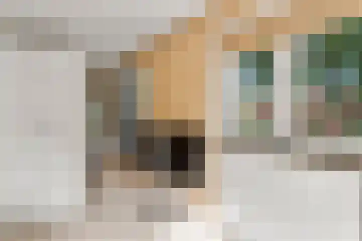 Lunterse Bosweg 6 Lunteren thumbnail 34