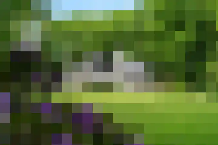 Lunterse Bosweg 6 Lunteren thumbnail 4