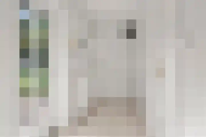 Lunterse Bosweg 6 Lunteren thumbnail 43