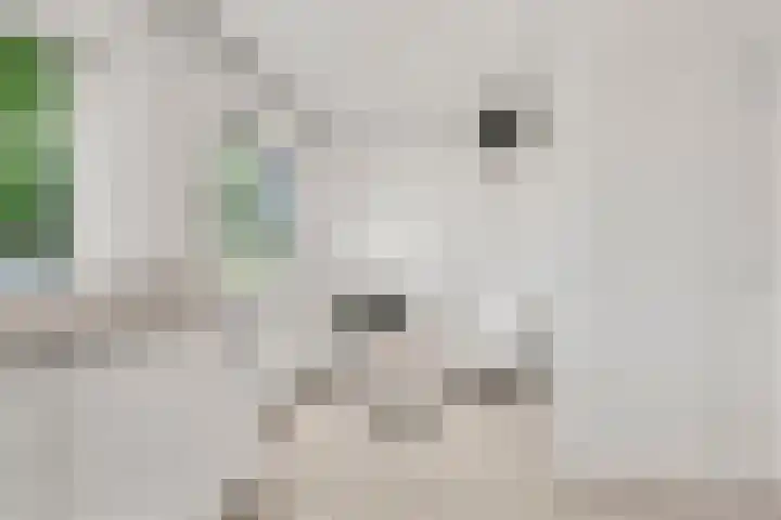 Lunterse Bosweg 6 Lunteren thumbnail 44