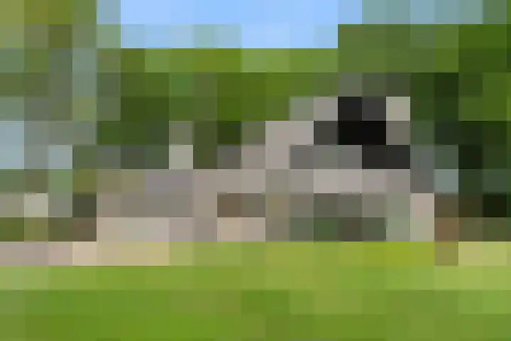 Lunterse Bosweg 6 Lunteren thumbnail 5