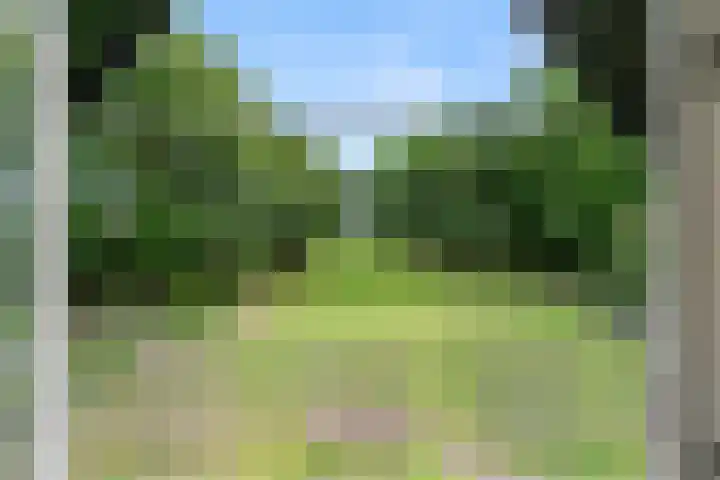 Lunterse Bosweg 6 Lunteren thumbnail 51