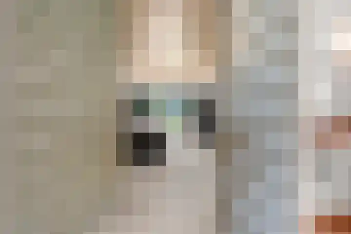 Lunterse Bosweg 6 Lunteren thumbnail 53