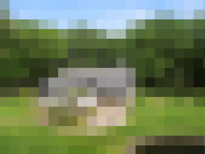 Lunterse Bosweg 6 Lunteren thumbnail 6