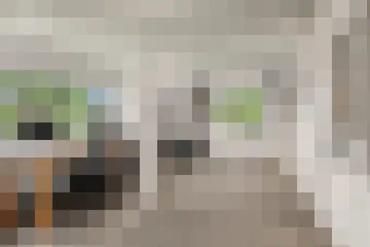 Lunterse Bosweg 6 Lunteren thumbnail 60