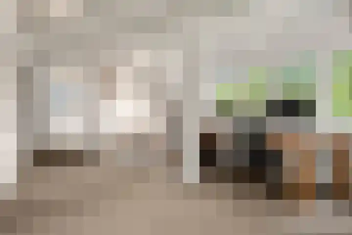 Lunterse Bosweg 6 Lunteren thumbnail 62
