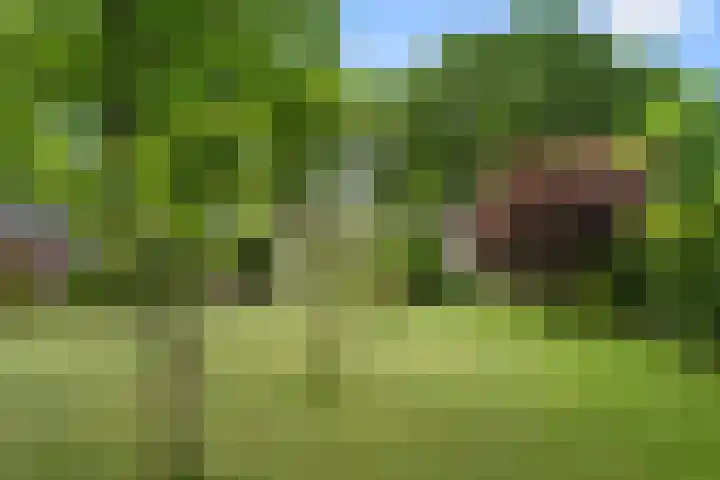 Lunterse Bosweg 6 Lunteren thumbnail 64