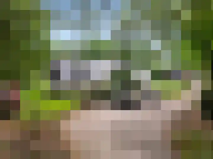 Lunterse Bosweg 6 Lunteren thumbnail 67