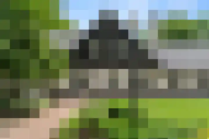 Lunterse Bosweg 6 Lunteren thumbnail 68