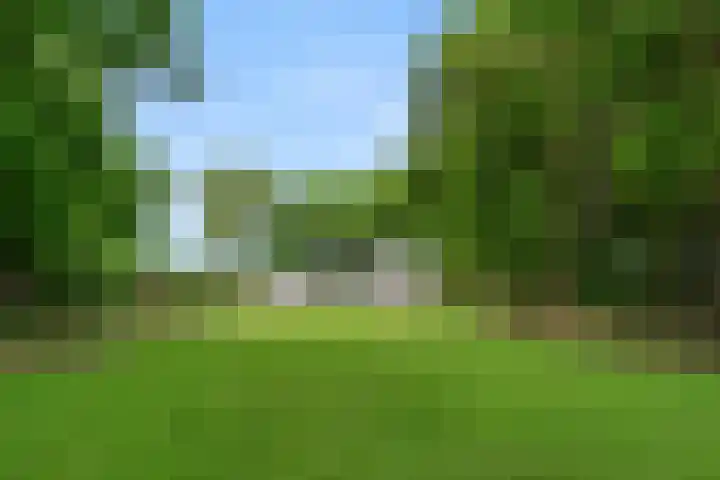 Lunterse Bosweg 6 Lunteren thumbnail 69