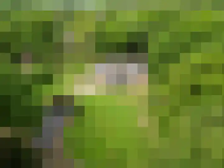Lunterse Bosweg 6 Lunteren thumbnail 7