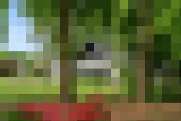 Lunterse Bosweg 6 Lunteren thumbnail 70