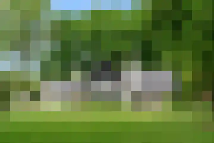 Lunterse Bosweg 6 Lunteren thumbnail 71