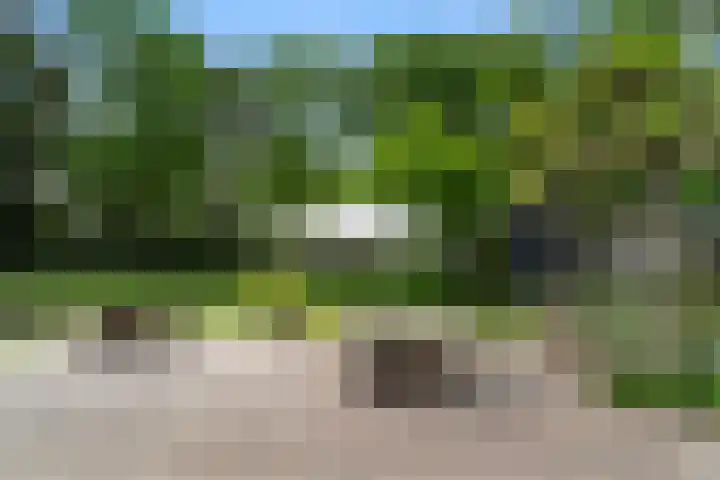 Lunterse Bosweg 6 Lunteren thumbnail 76