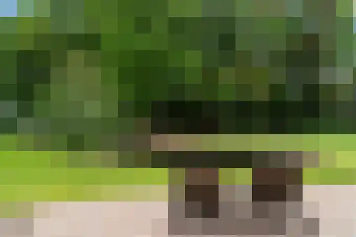 Lunterse Bosweg 6 Lunteren thumbnail 77