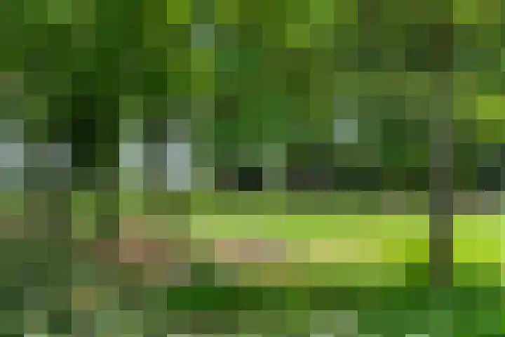 Lunterse Bosweg 6 Lunteren thumbnail 78