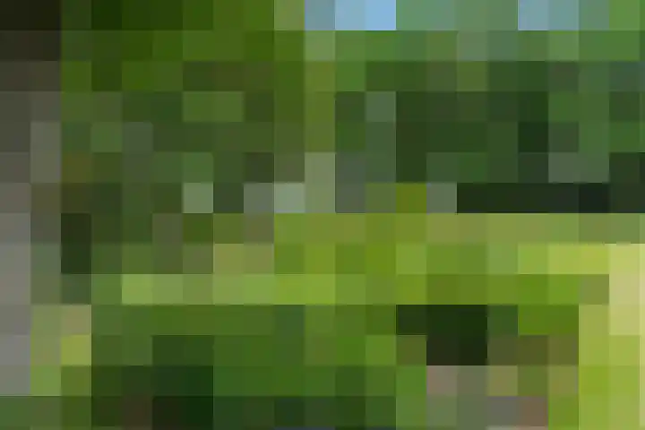 Lunterse Bosweg 6 Lunteren thumbnail 79