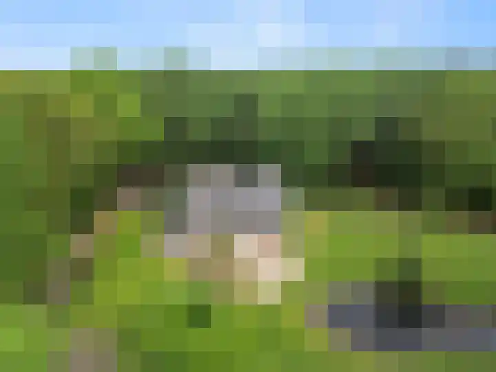 Lunterse Bosweg 6 Lunteren thumbnail 8
