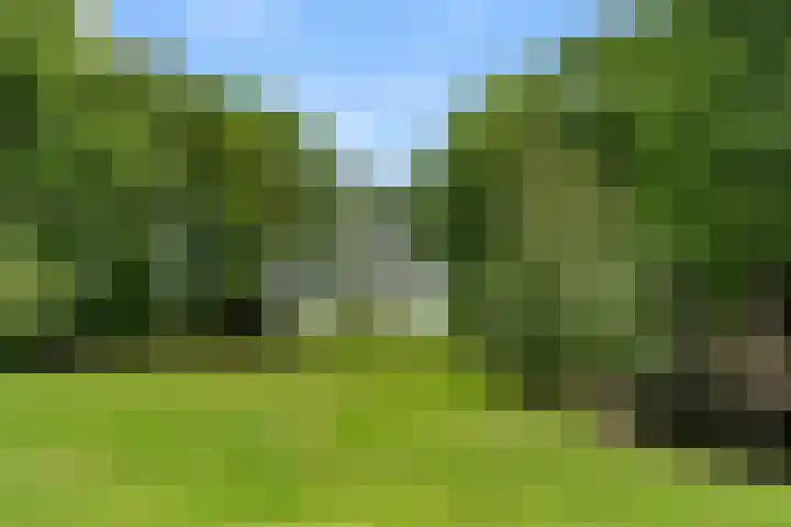Lunterse Bosweg 6 Lunteren thumbnail 80