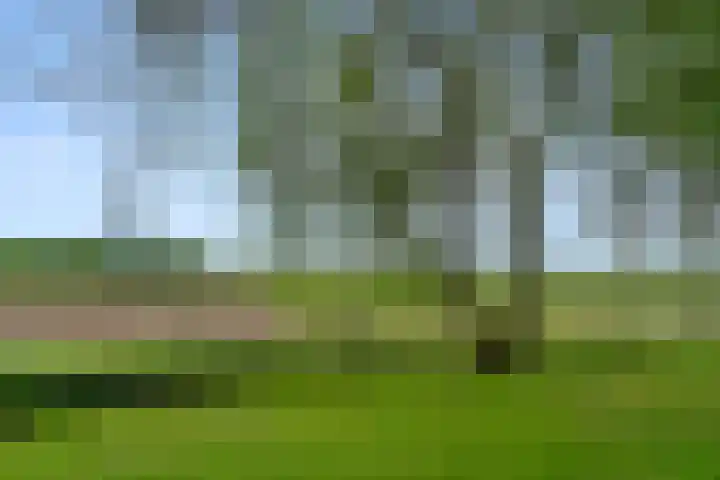 Lunterse Bosweg 6 Lunteren thumbnail 81