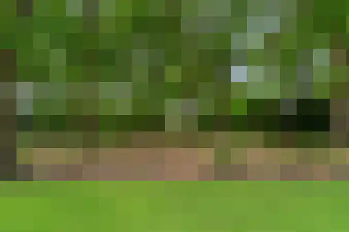 Lunterse Bosweg 6 Lunteren thumbnail 82