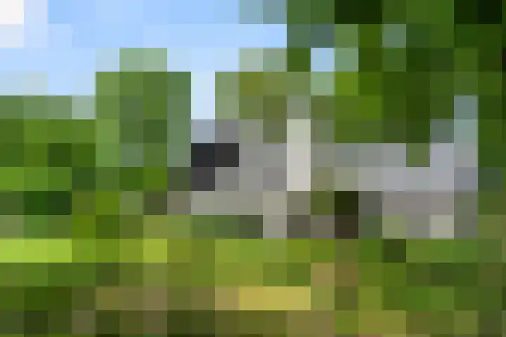 Lunterse Bosweg 6 Lunteren thumbnail 83