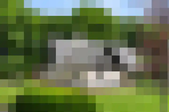 Lunterse Bosweg 6 Lunteren thumbnail 84