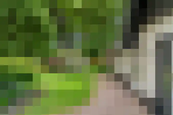 Lunterse Bosweg 6 Lunteren thumbnail 85