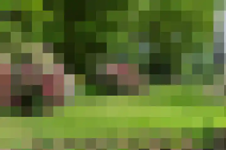 Lunterse Bosweg 6 Lunteren thumbnail 86