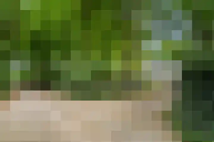 Lunterse Bosweg 6 Lunteren thumbnail 87