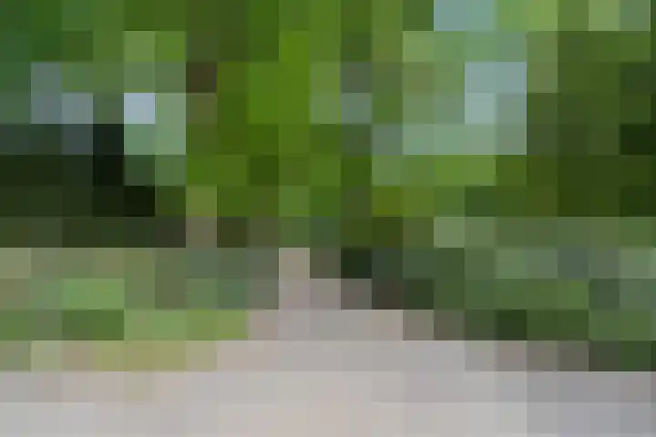 Lunterse Bosweg 6 Lunteren thumbnail 88