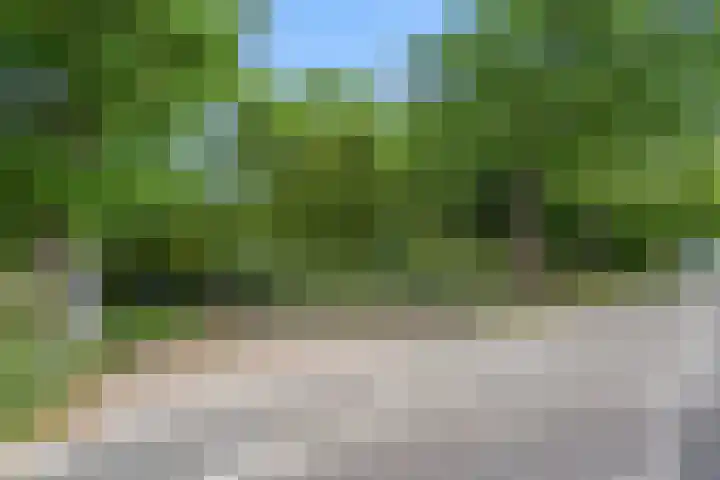 Lunterse Bosweg 6 Lunteren thumbnail 89