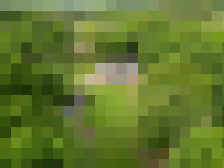 Lunterse Bosweg 6 Lunteren thumbnail 90