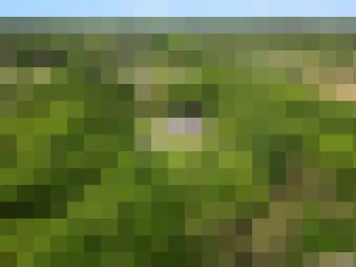 Lunterse Bosweg 6 Lunteren thumbnail 92