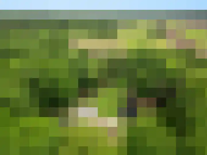 Lunterse Bosweg 6 Lunteren thumbnail 93