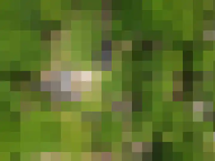 Lunterse Bosweg 6 Lunteren thumbnail 94
