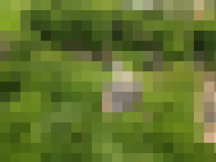 Lunterse Bosweg 6 Lunteren thumbnail 95