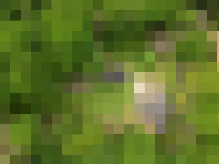 Lunterse Bosweg 6 Lunteren thumbnail 96