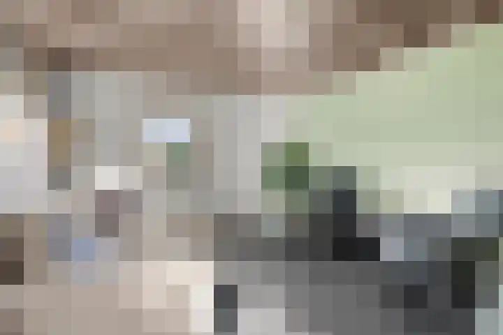 Lunterseweg 50 Ede thumbnail 10